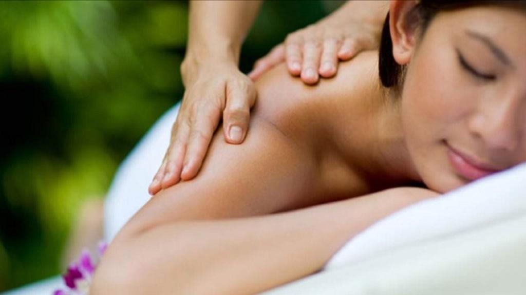 Holiday home Domaine De Label, Spa, Massages *