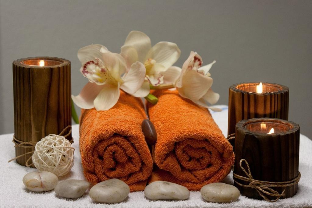 Hébergement de vacances Domaine De Label, Spa, Massages La Salvetat-sur-Agout