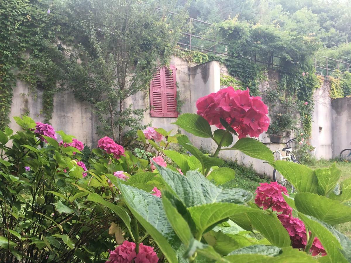 Domaine De Label, Spa, Massages * La Salvetat-sur-Agout