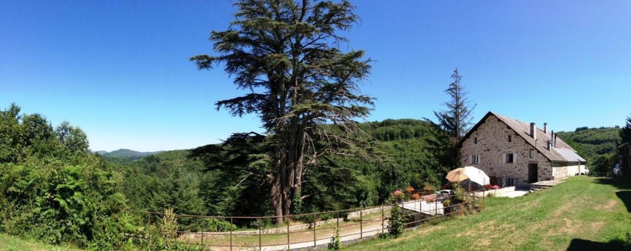 Domaine De Label, Spa, Massages La Salvetat-sur-Agout