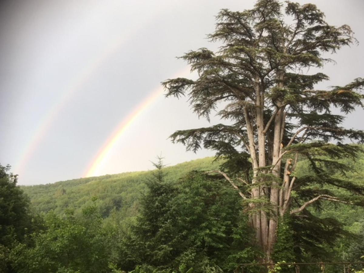 Domaine De Label, Spa, Massages Holiday home *